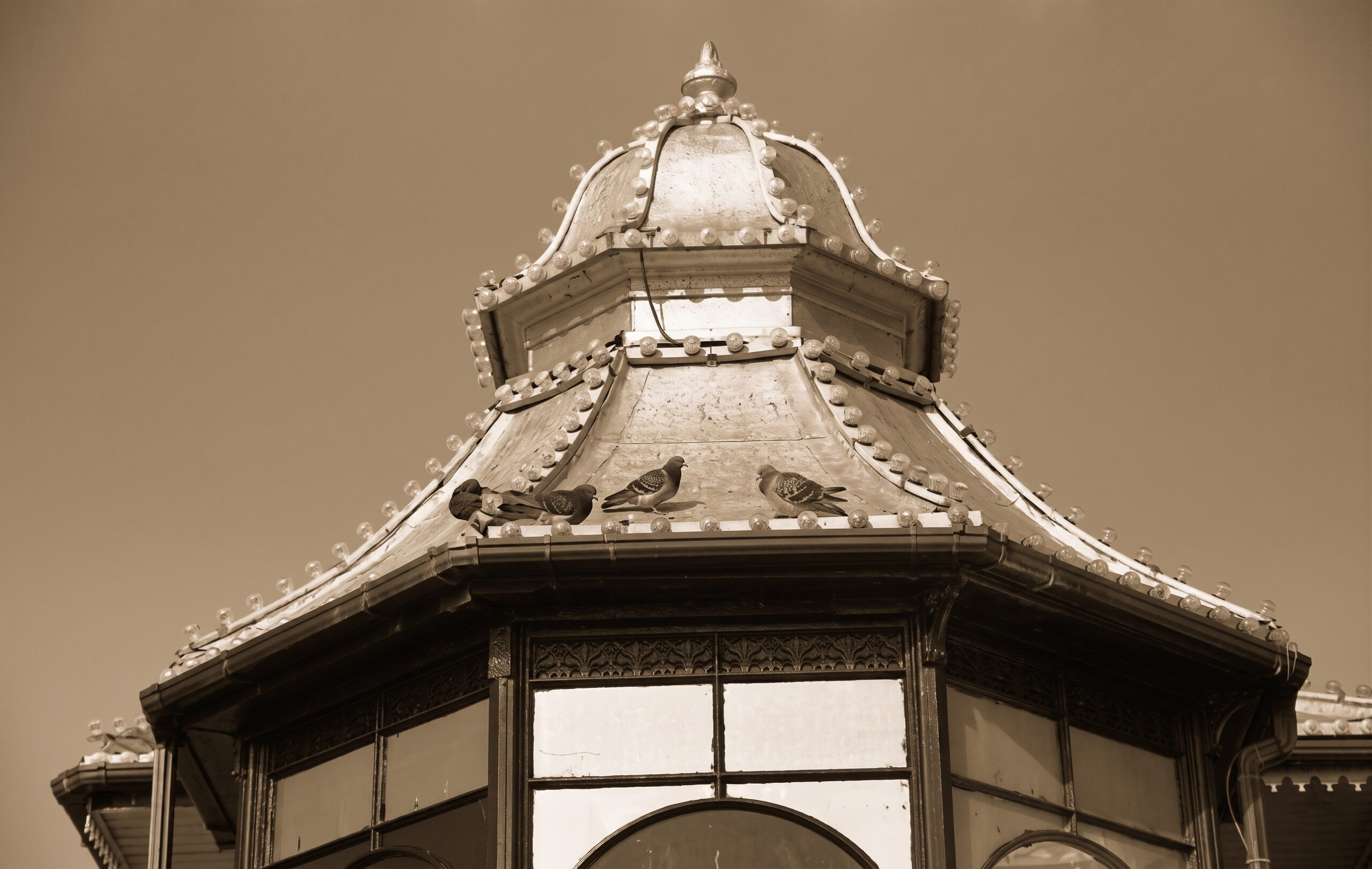 Final Edited Image
