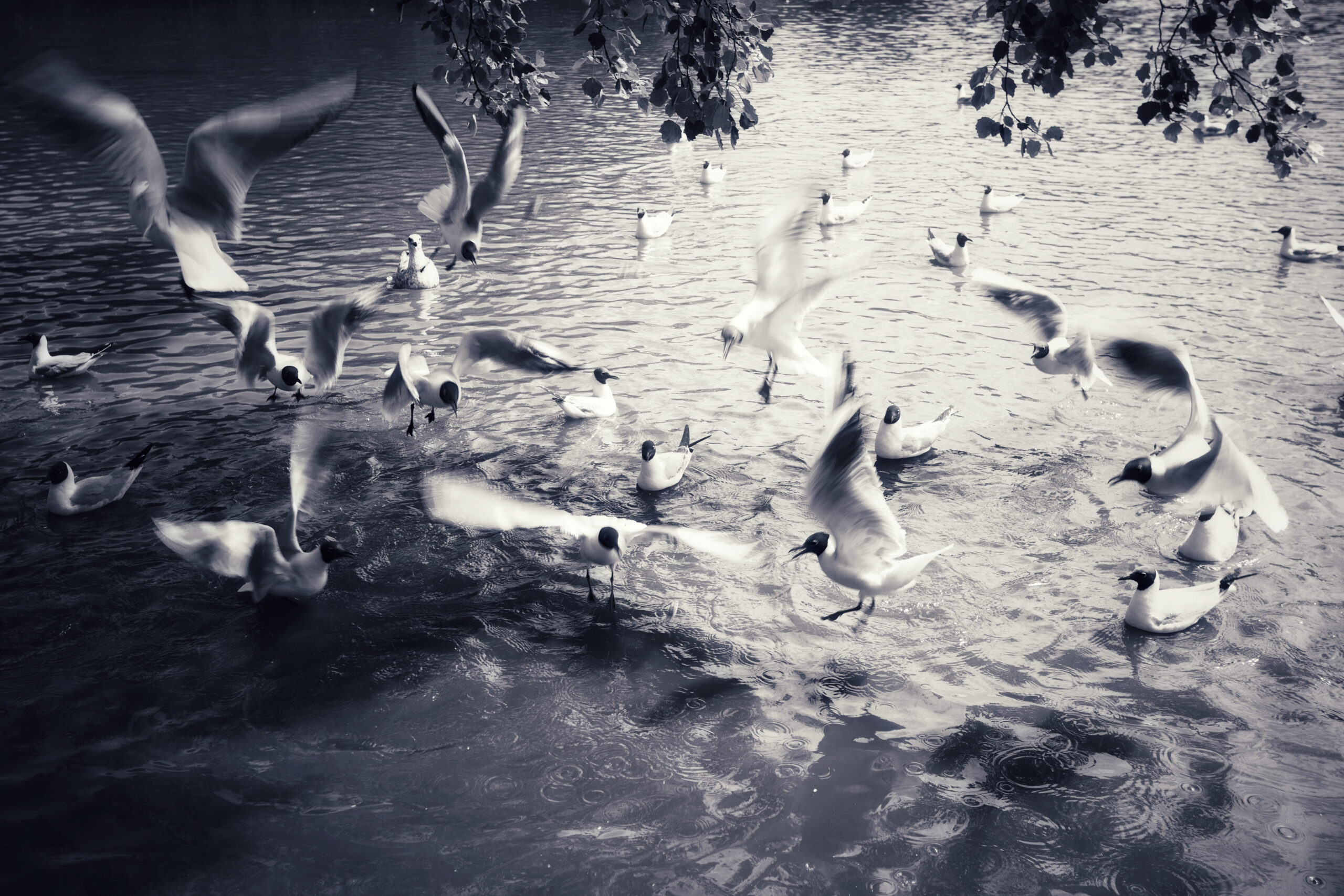 Final Edited Image
