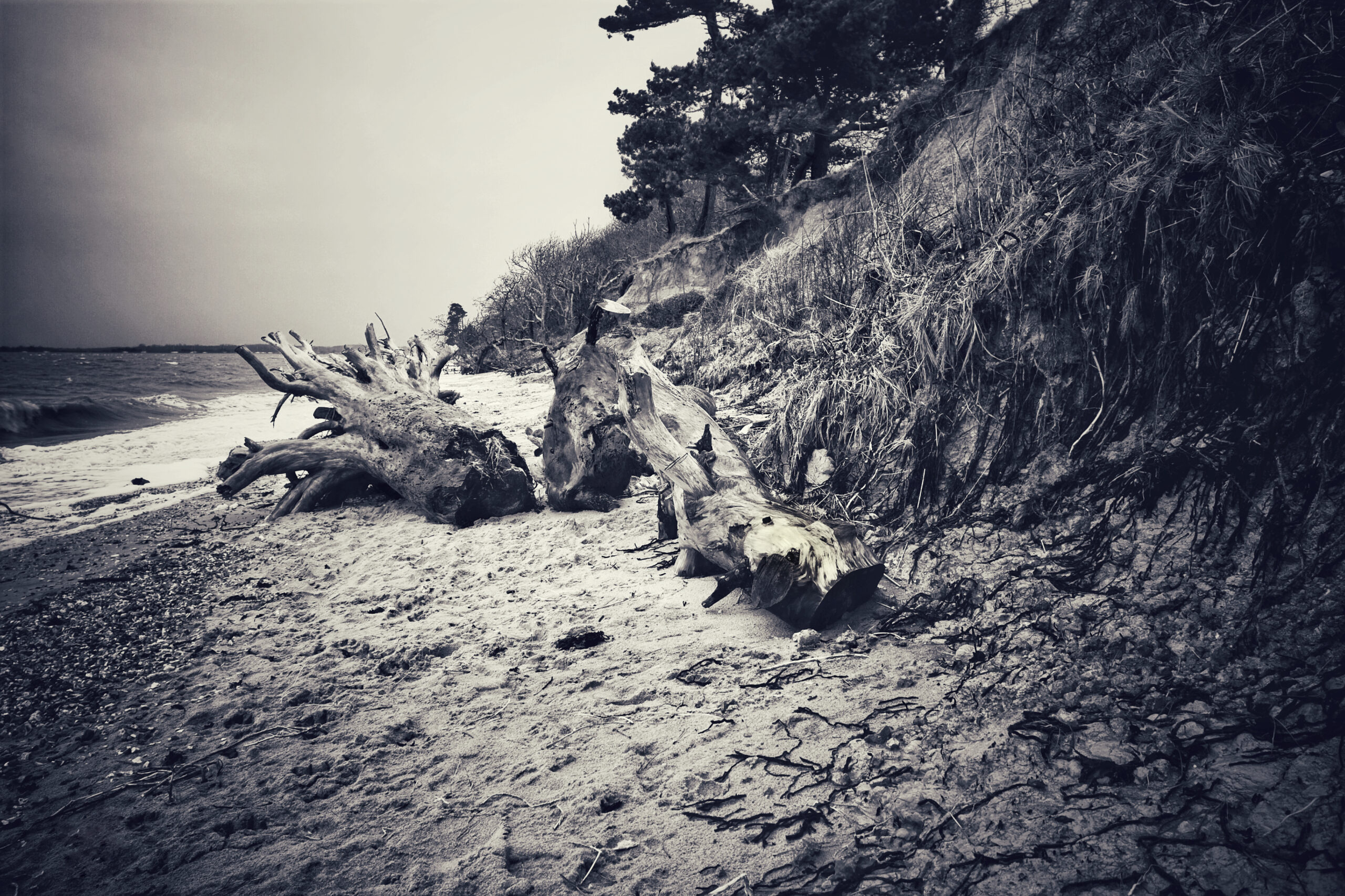 Final Edited Image