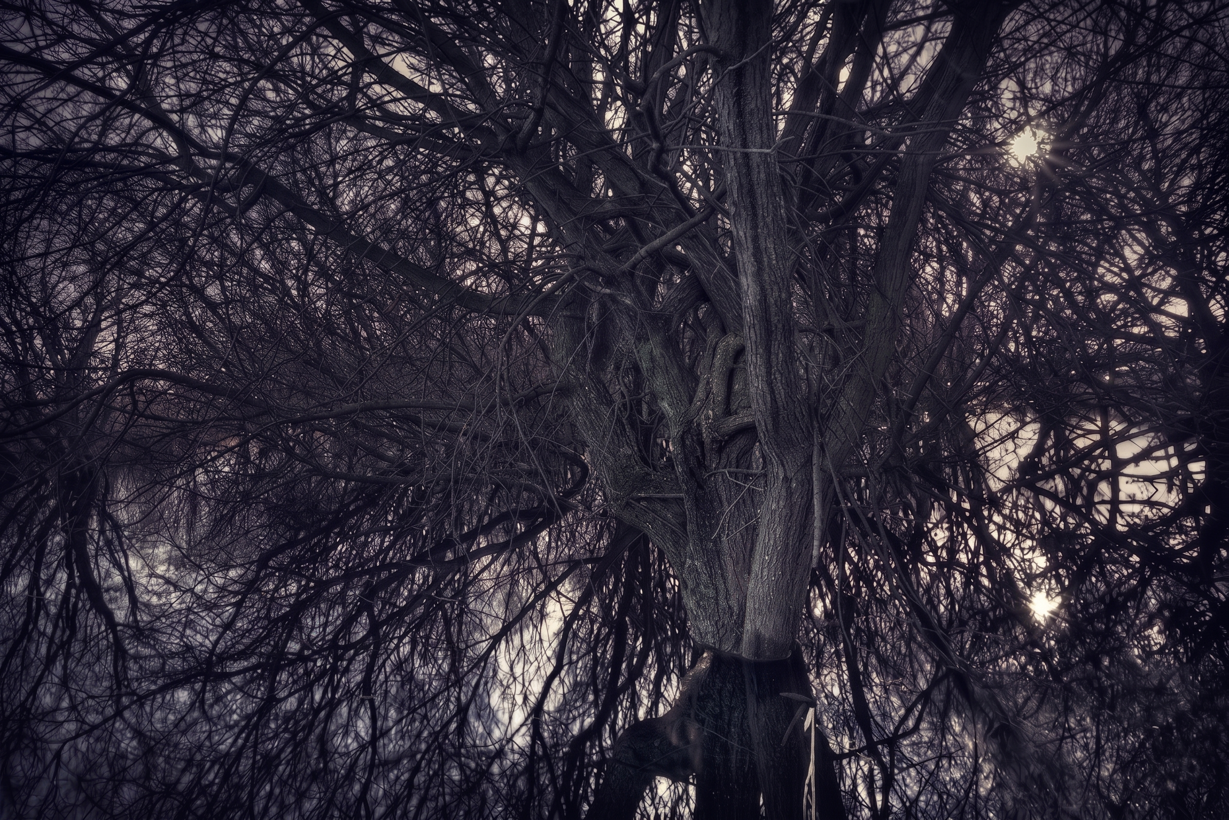Final Edited Image