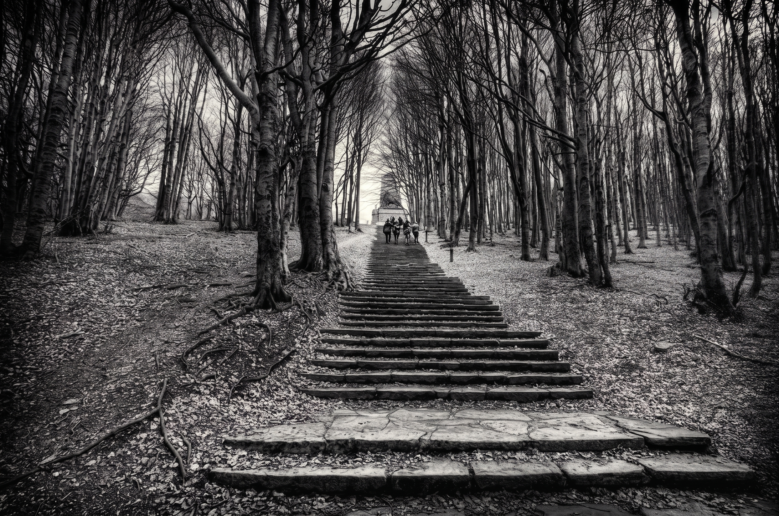 Final Edited Image